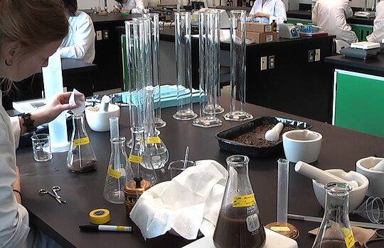 Un plan de travail en laboratoire couvert d'erlenmeyers et d'éprouvettes.