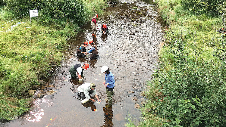 Un groupe d'étudiants sont debouts dans une rivière et prennent des échantillons.